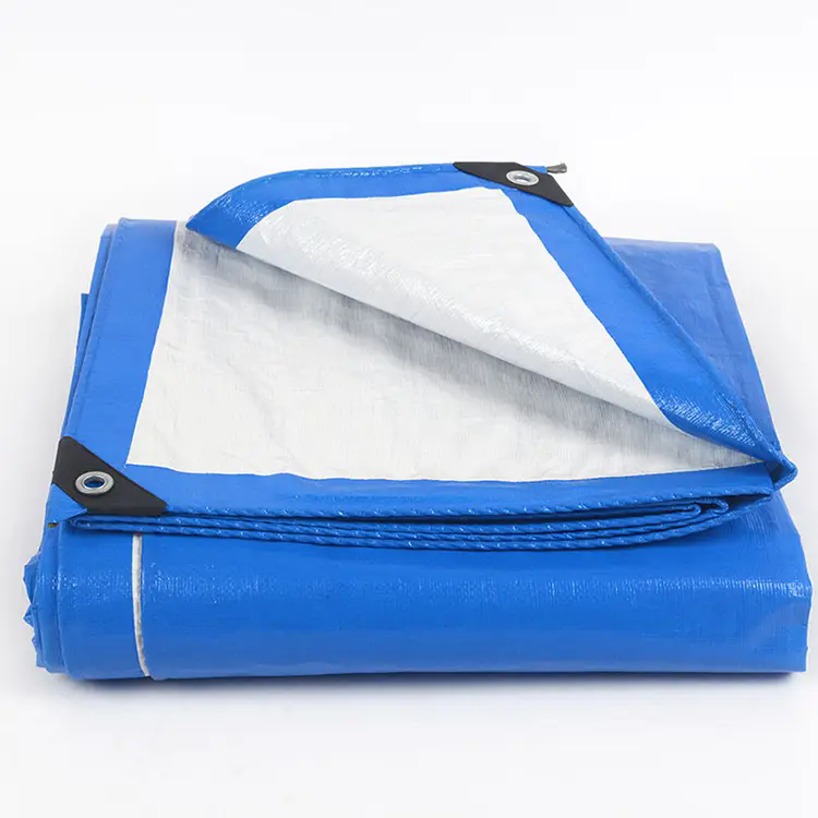 Zer da pe lona? Zer da pe lona?