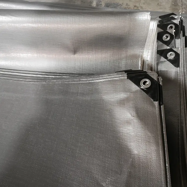 Beltza zilarrezko 240 birjina pe tarpaulin