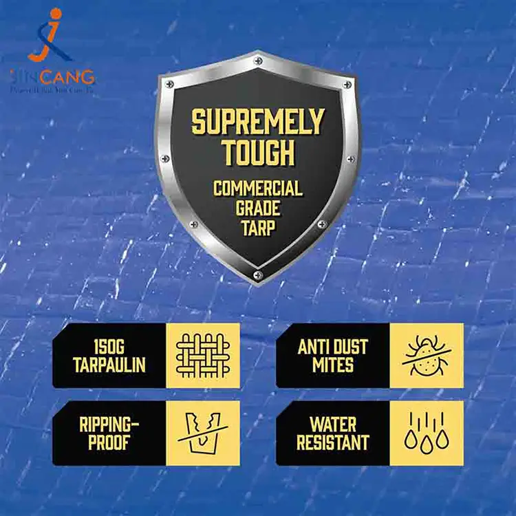 Iragazgaitza PE koltxoi poltsak