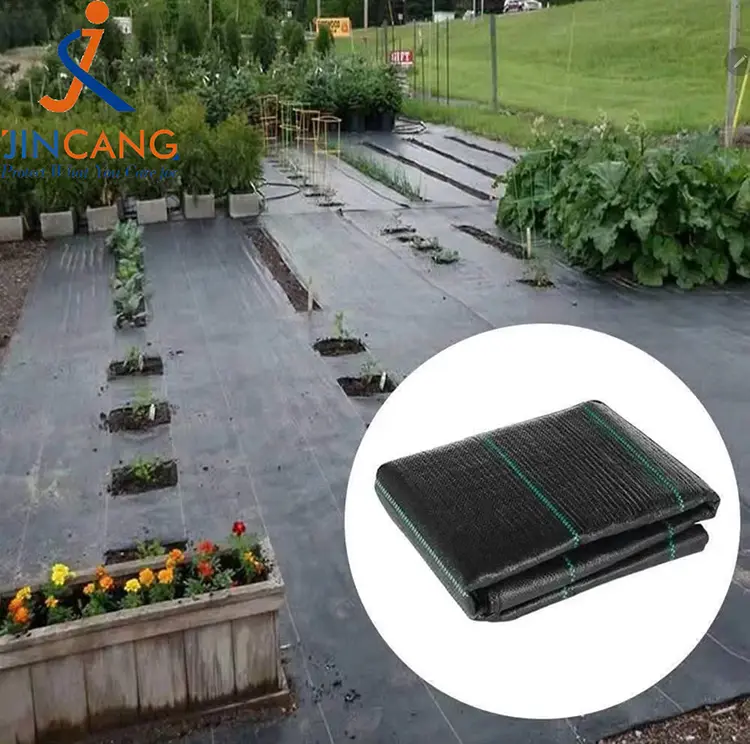 Pp ehundutako belarra