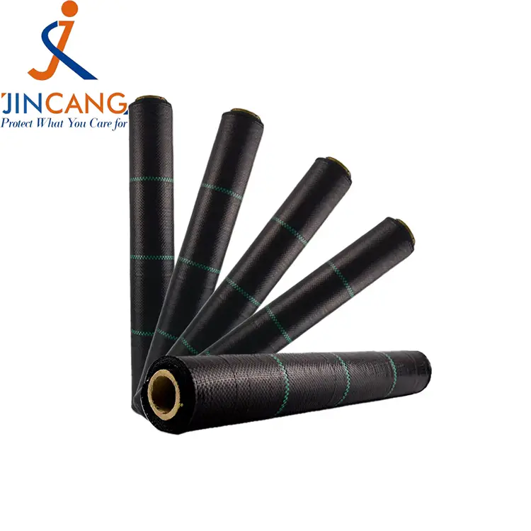 Pp ehundutako belarra