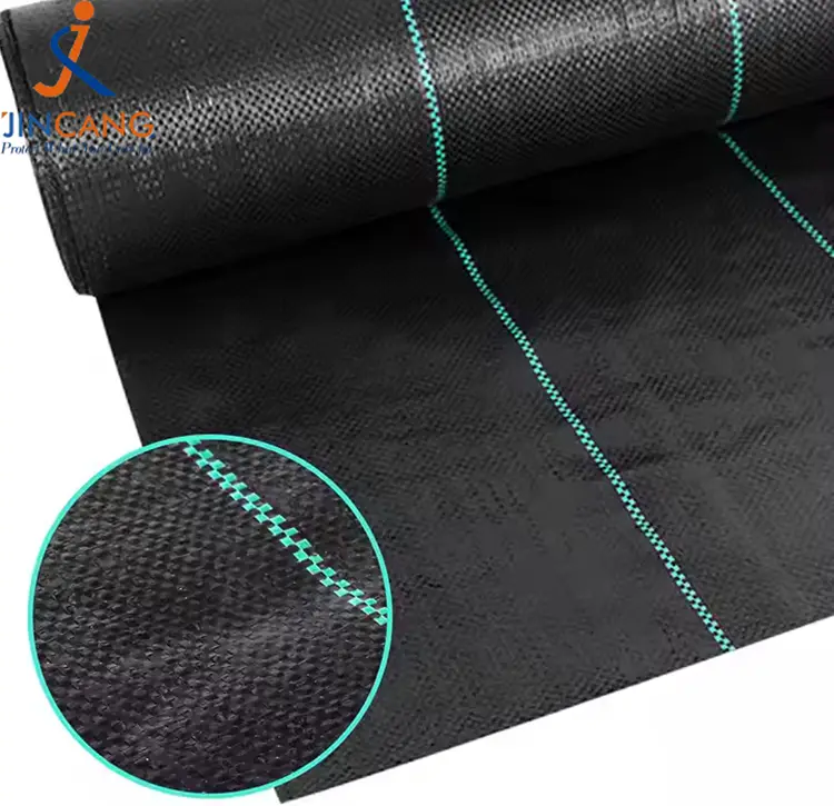 Pp ehundutako belarra