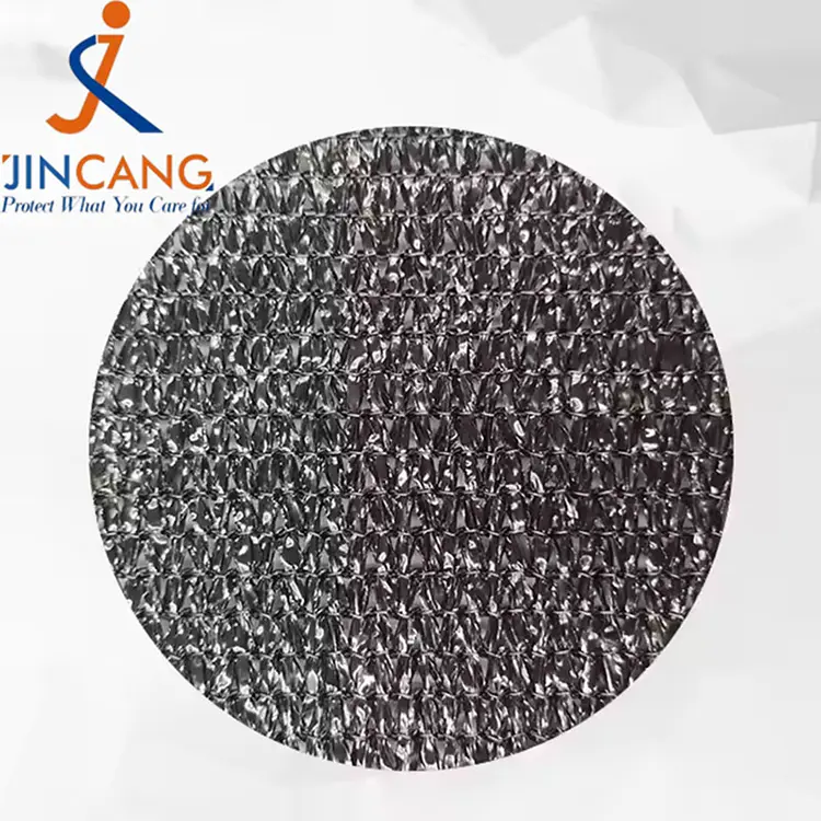 Eguzkia itzal garbia