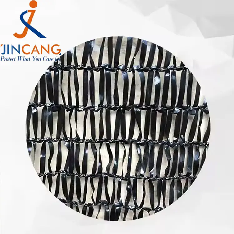 Eguzkia itzal garbia