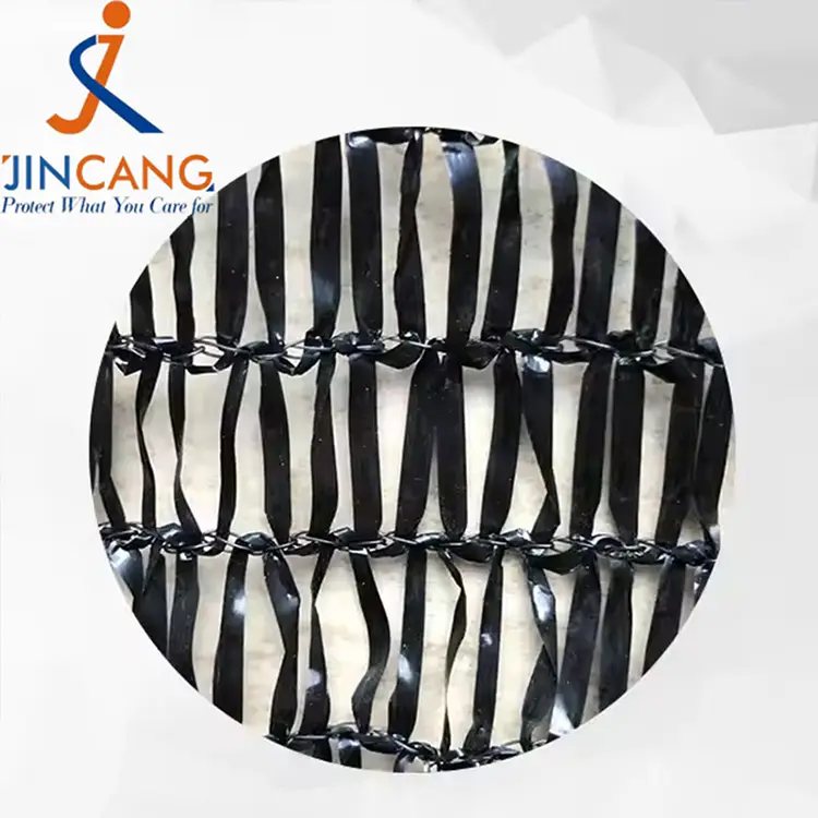 Eguzkia itzal garbia