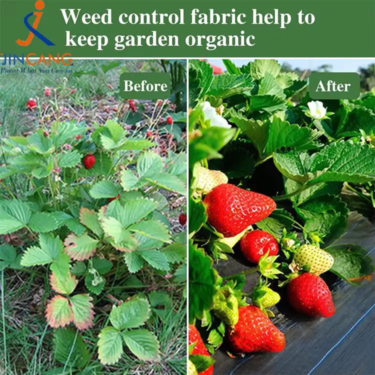 Belar-kontrolaren ehuna