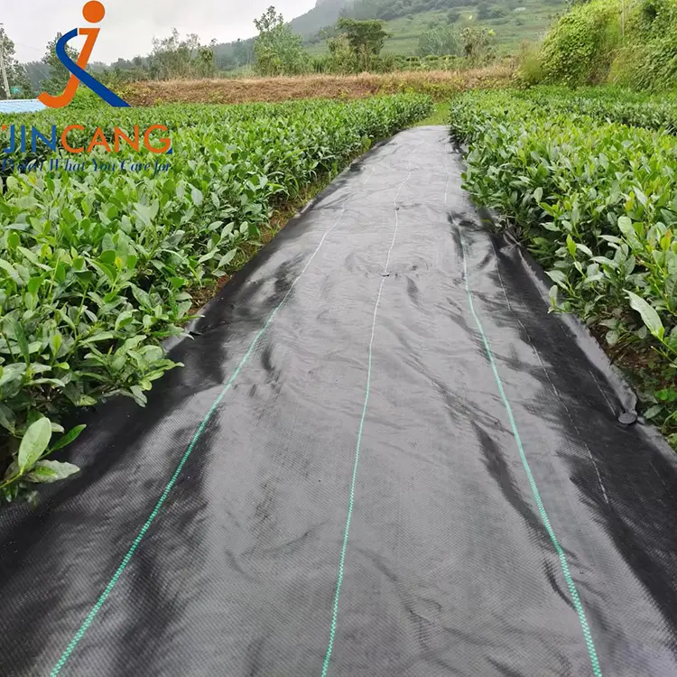 Belar-kontrolaren ehuna