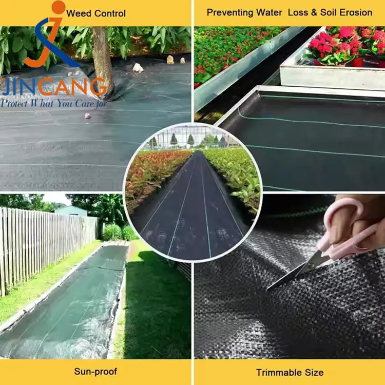 Belar-kontrolaren ehuna