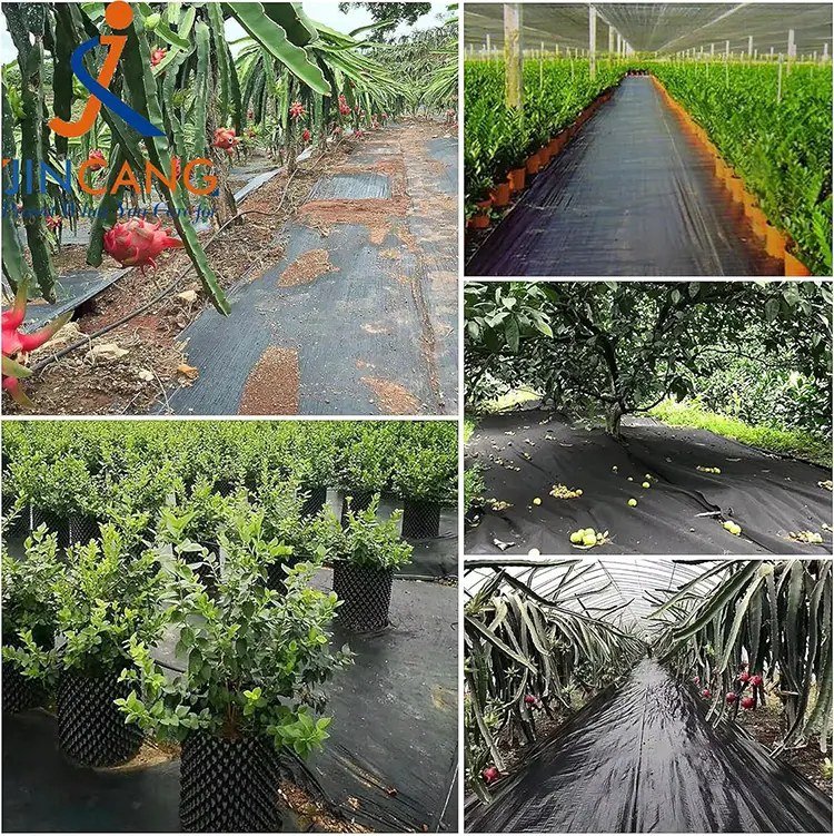 Belar-kontrolaren ehuna