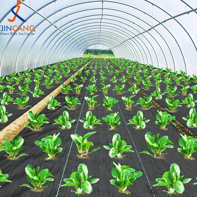 Belar-kontrolaren ehuna