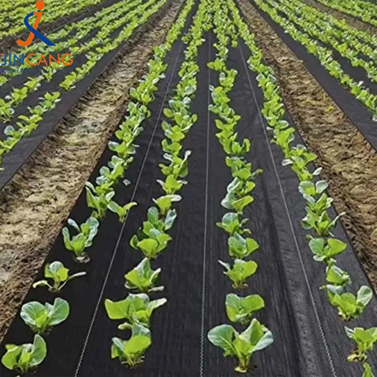 Anti belarra oihalezko ortikoa lorategi belarra kontrolatzeko alfonbra